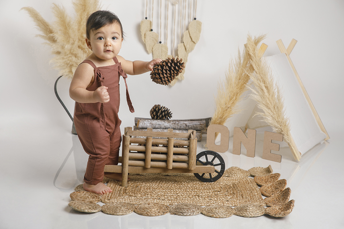 Daniel segura uma pinha com firmeza e olha para a câmara com ar sério e determinado. O cenário continua a envolvê-lo como um conto de fadas rústico e acolhedor.