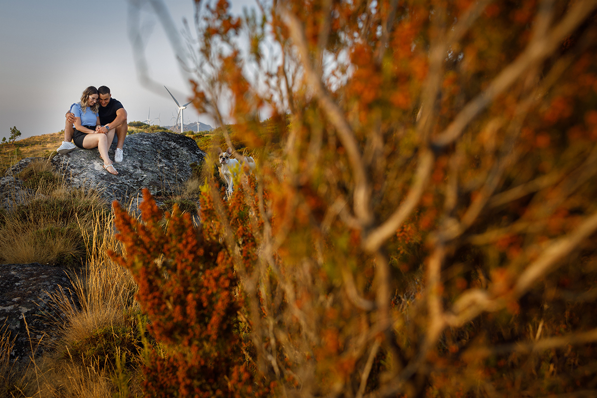 Num plano mais aproximado, do lado direito surge uma planta castanha com tons avermelhados. Ao fundo, no lado esquerdo, os dois continuam sentados juntinhos na rocha, lado a lado.