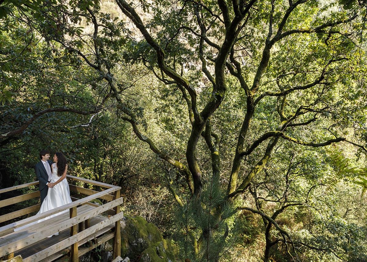 Entre os ramos imponentes de uma árvore, Diana volta-se para trás, o olhar preso ao de André. As mãos dadas unem-nos numa conversa silenciosa, cheia de ternura e emoção.