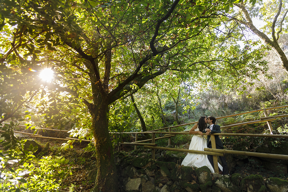 Sessao casamento .Mais acima, os dois encontram-se num beijo envolto por raios de sol que atravessam os ramos das árvores. Um momento mágico e espontâneo.