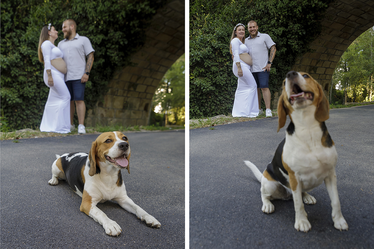 Casal a ser fotografado com o seu cãopanheiro, a família aumenta