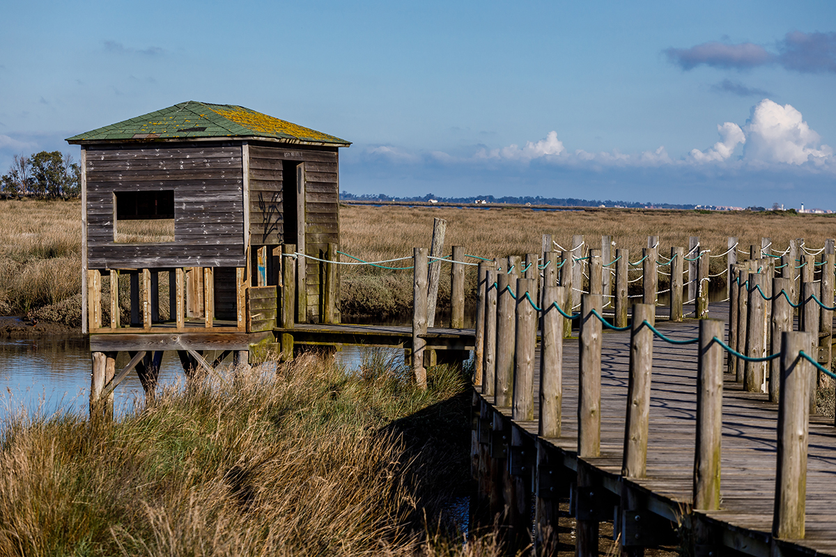 A vastidão da Ria de Aveiro e o amor de Vanessa e Philippe captados por Ricardo Coimbra.
