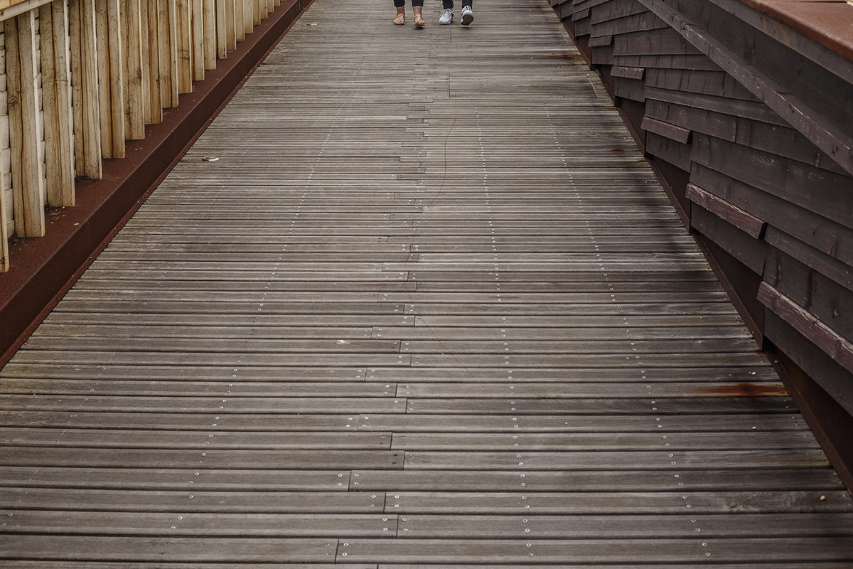 De longe, a fotografia mostra a extensão dos passadiços de madeira até que no topo da imagem, bem ao fundo, apenas os pezinhos dos dois se fazem ver, como dois pontos de exclamação que anunciam a ternura da caminhada.