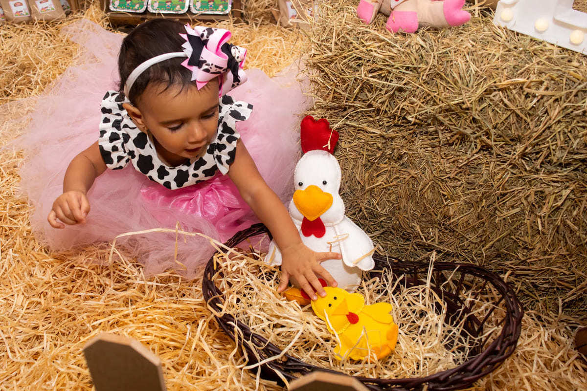 Li Marques Fotografia, fotógrafa uberlandia, fotografia, fotografa de aniversário, festa infantil, festa fazendinha, festa de 1 ano, aniversario de um ano. 