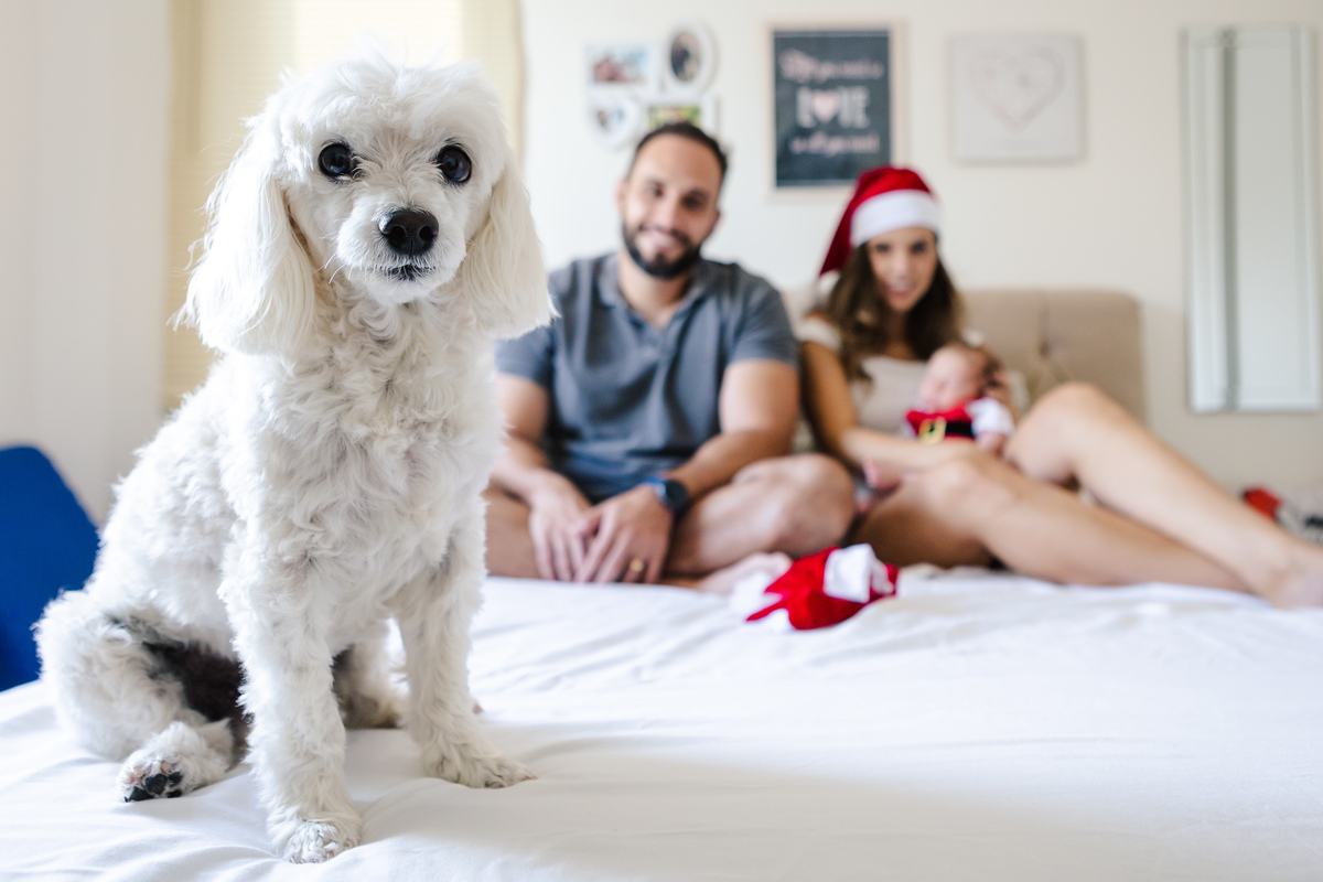 ensaio recém nascido, newborn lifestyle, foto de bebê, li marques fotografia, fotografa de bebê rj, fotografa de newborn rj, rio de janeiro, rj