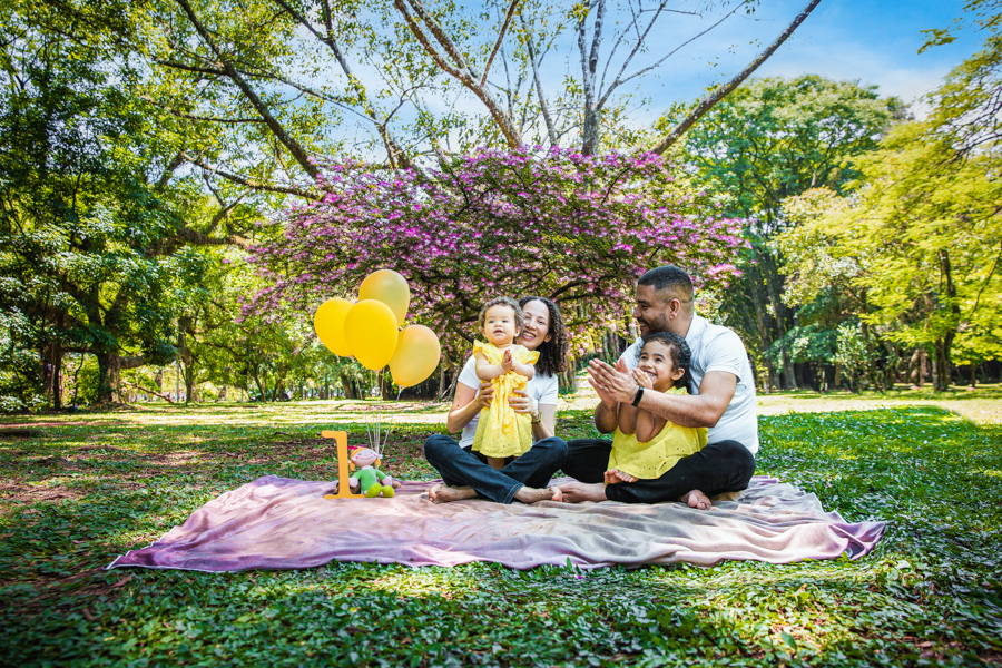 ensaio-1-ano-ibirapuera