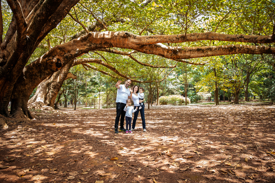ensaio-1-ano-ibirapuera