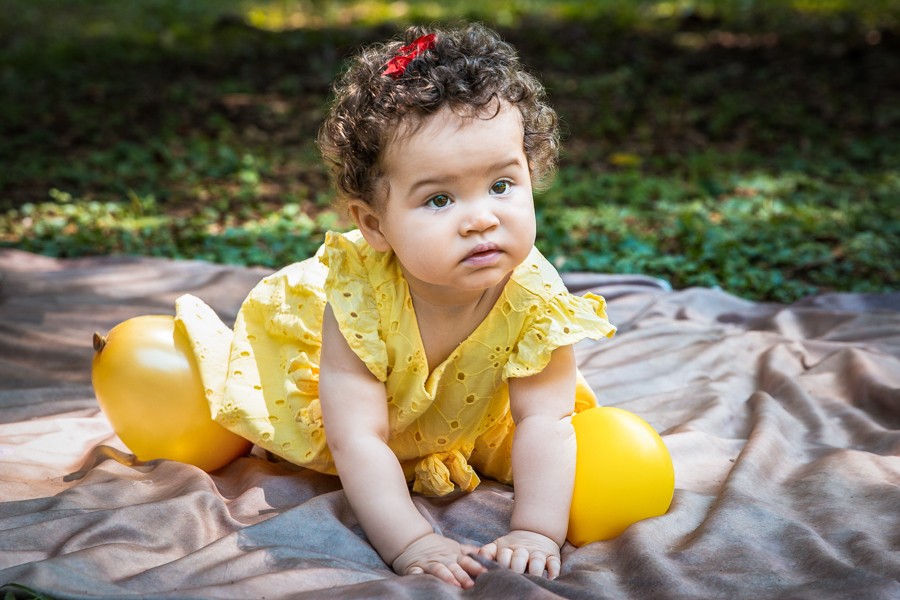 ensaio-1-ano-ibirapuera