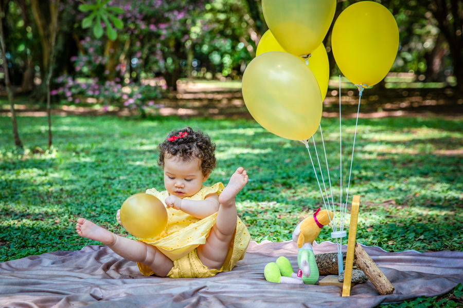 ensaio-1-ano-ibirapuera