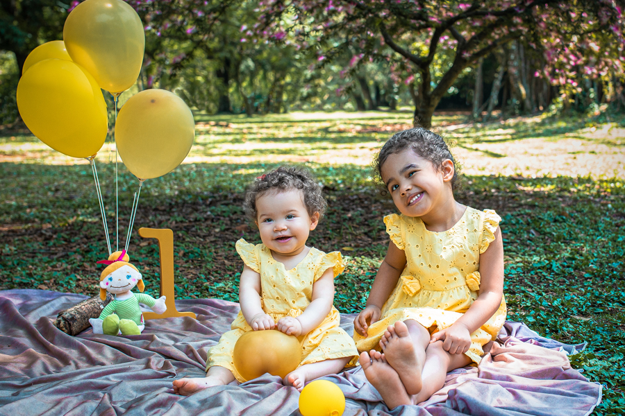 ensaio-1-ano-ibirapuera