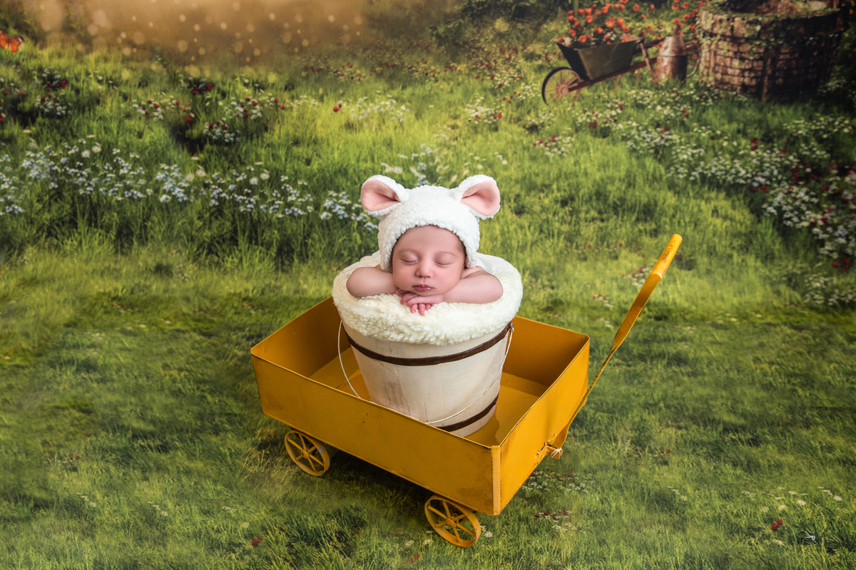 Ensaio-Newborn-menino-tatuapé-zona-leste