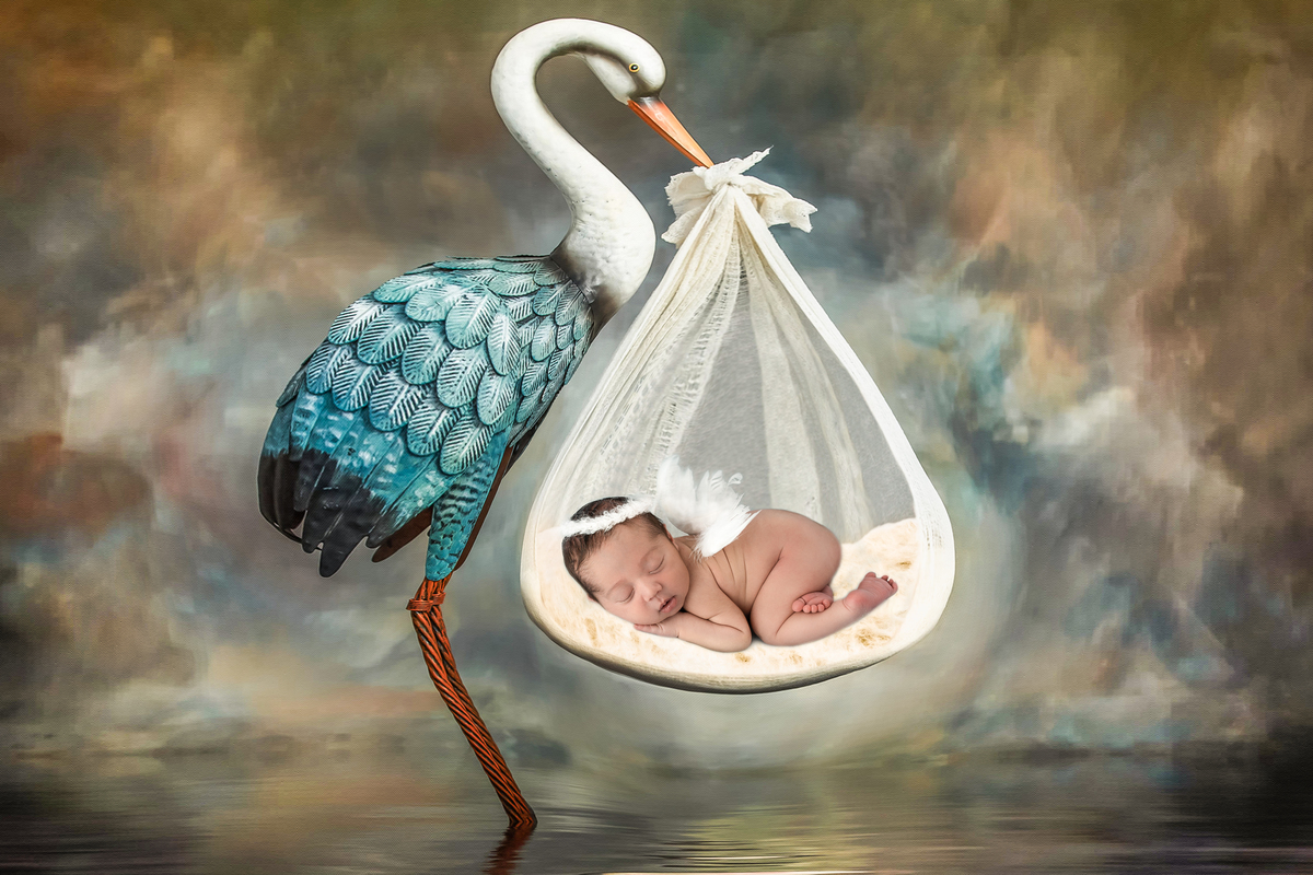 Ensaio-Newborn-menino-tatuapé-zona-leste