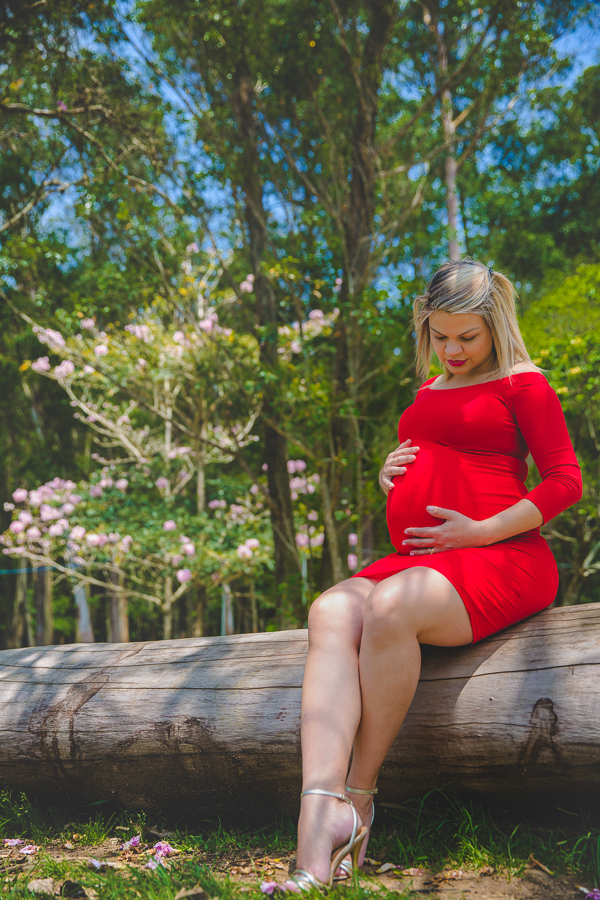 foto-ensaio-gestante-no-parque-do-carmo