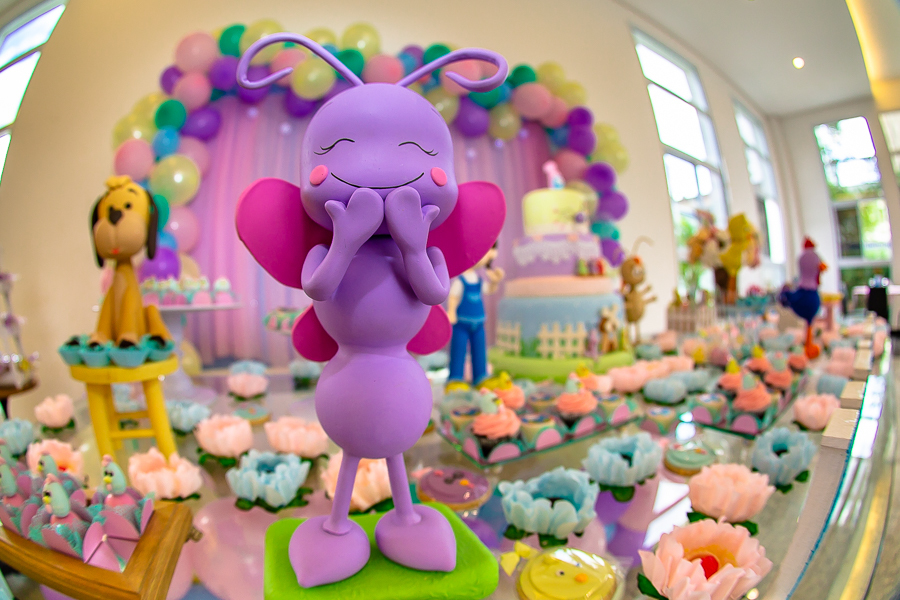 foto-decoracao-festa-infantil-galinha-pintadinha