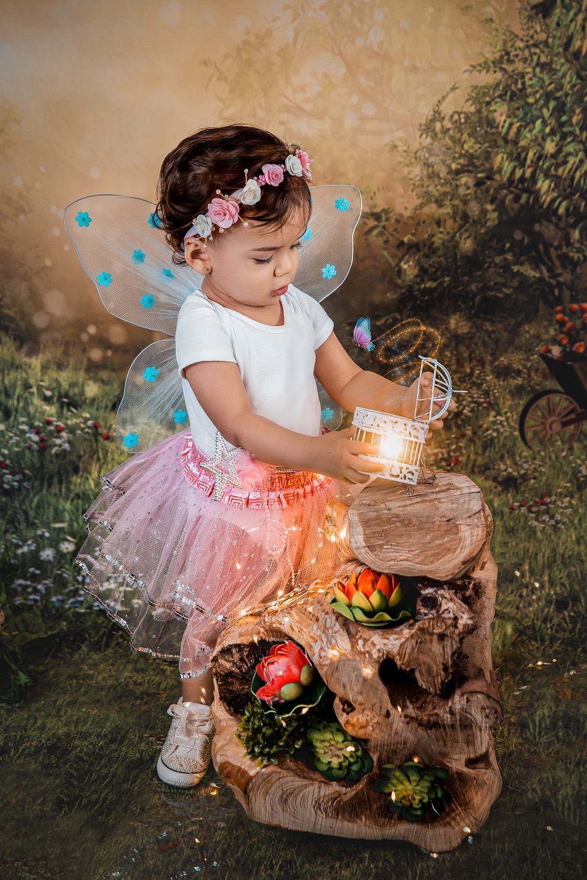 ensaio-fada-1-aninho