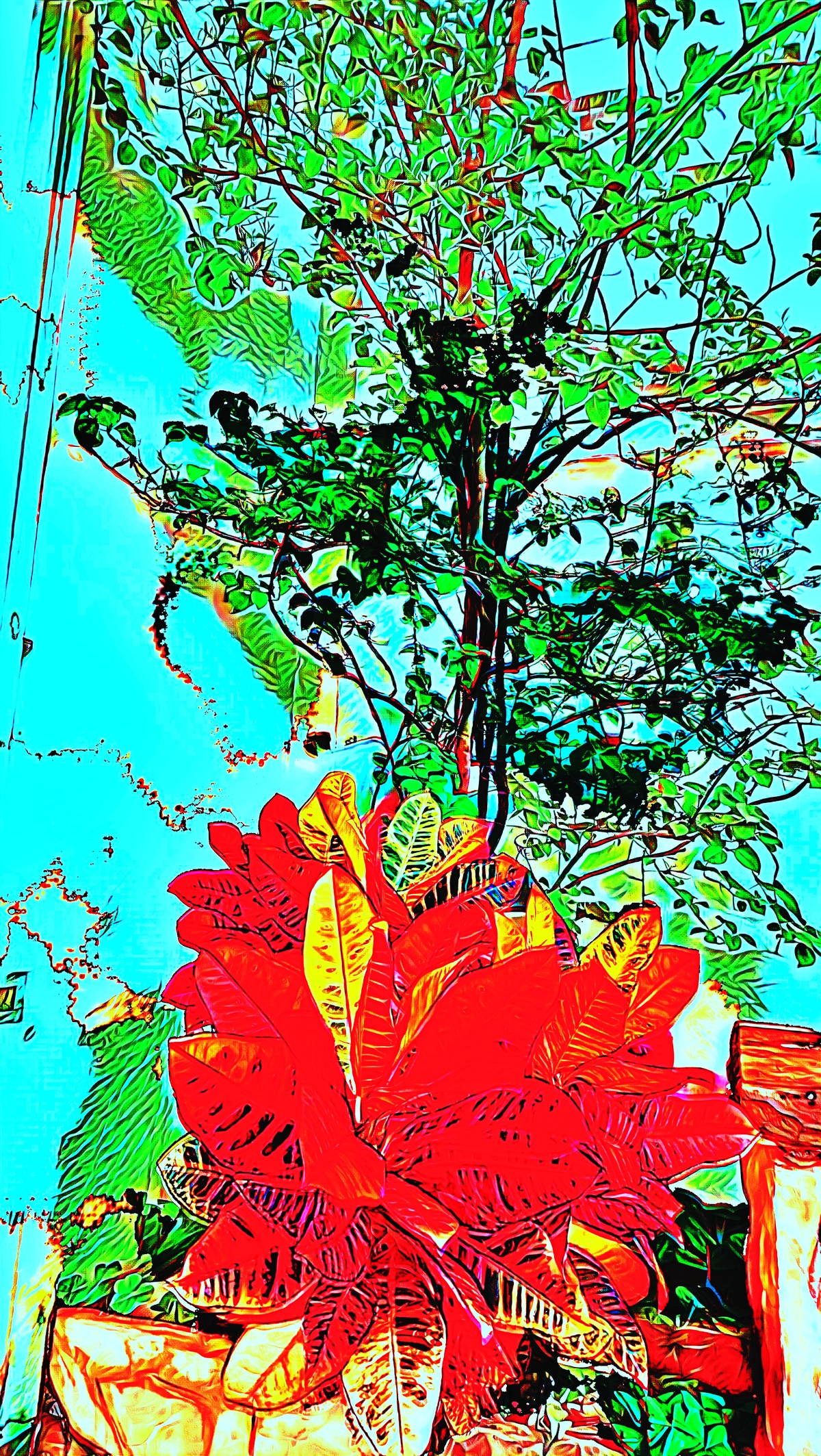 ART INSPIRING THE TREES AND PARKS