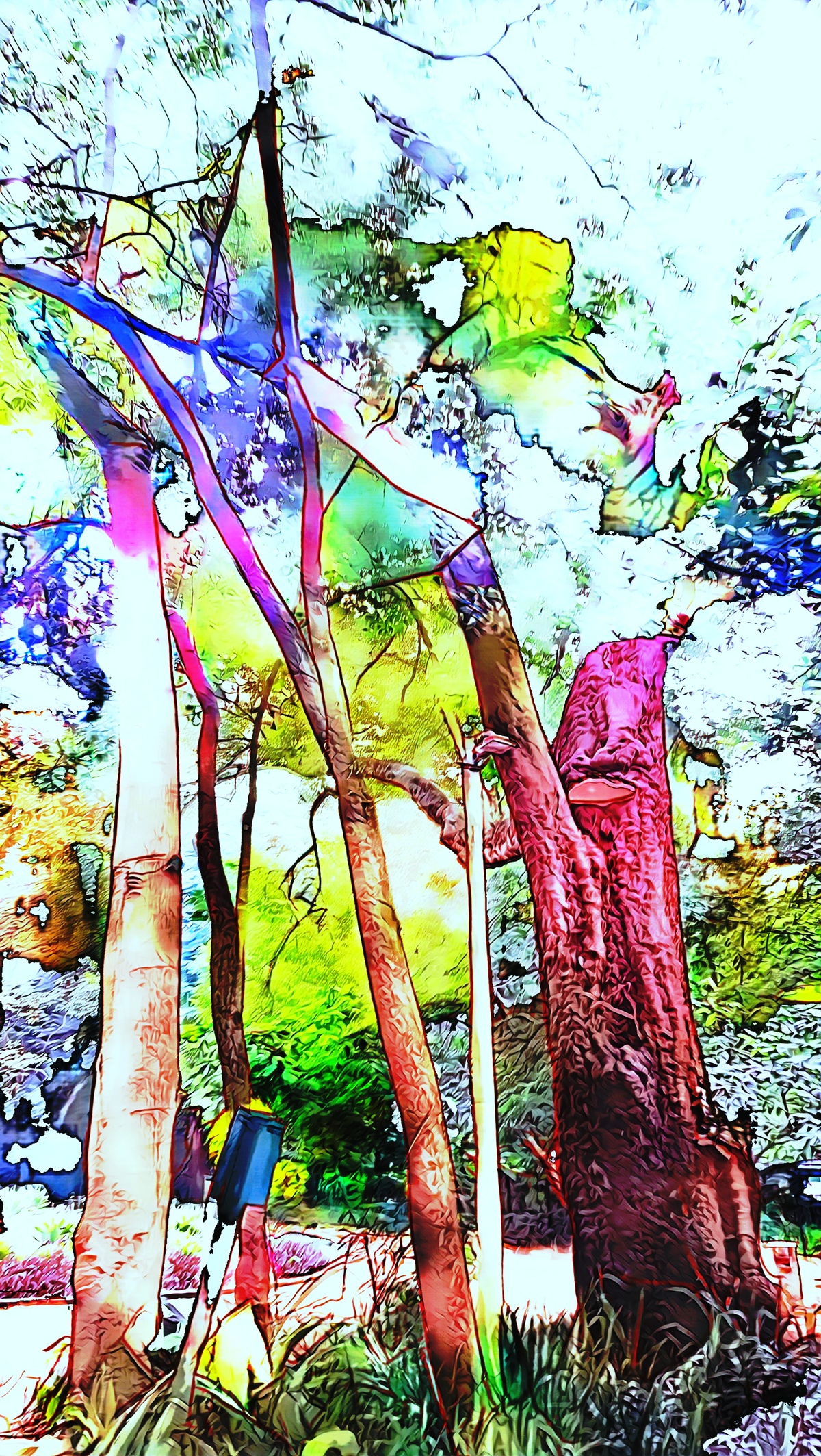 ART INSPIRING THE TREES AND PARKS