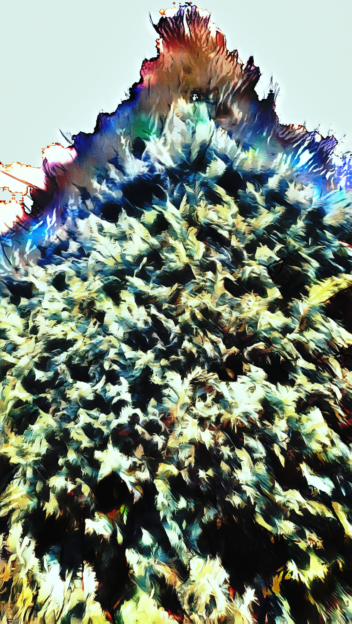 ART INSPIRING THE TREES AND PARKS