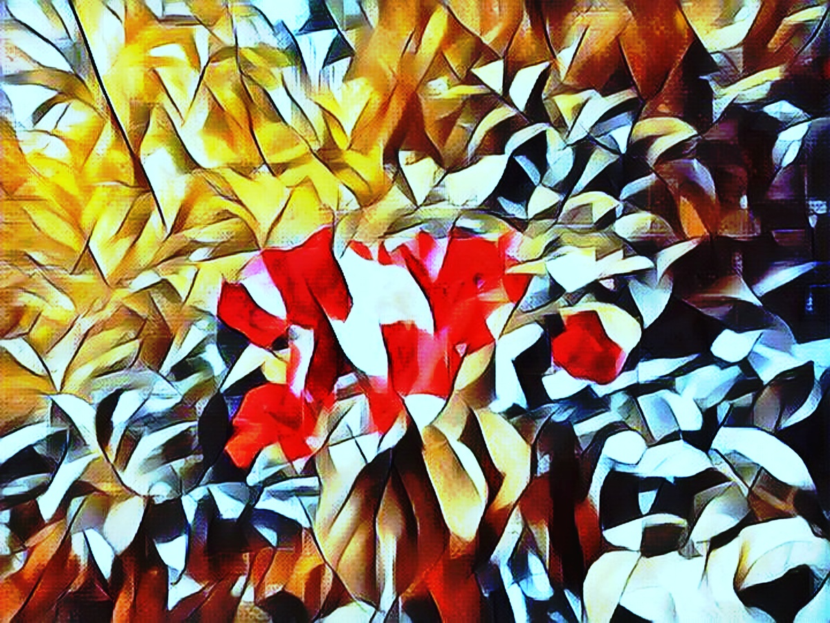 ART INSPIRING THE TREES AND PARKS