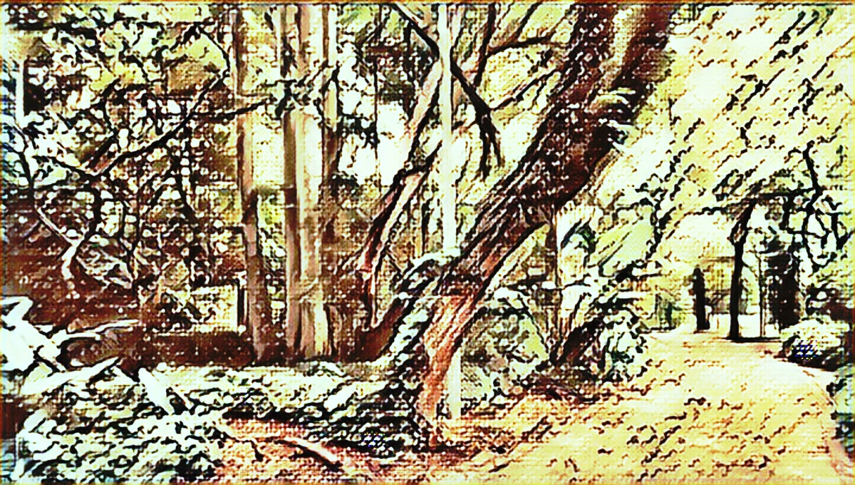 ART INSPIRING THE TREES AND PARKS