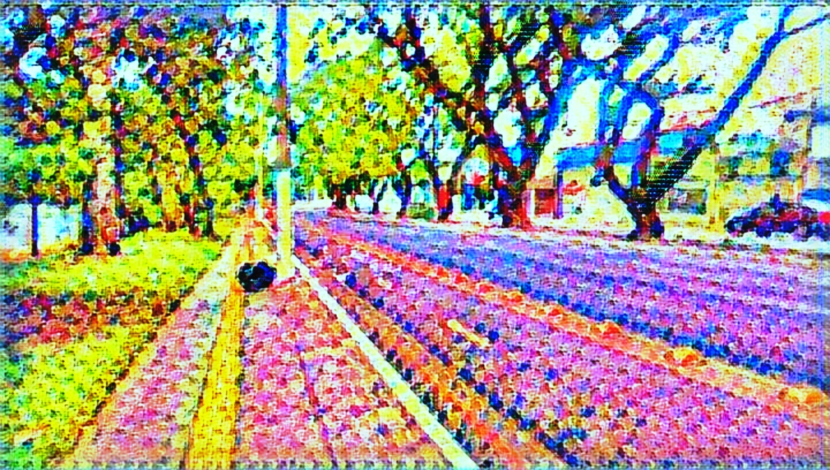 ART INSPIRING THE TREES AND PARKS