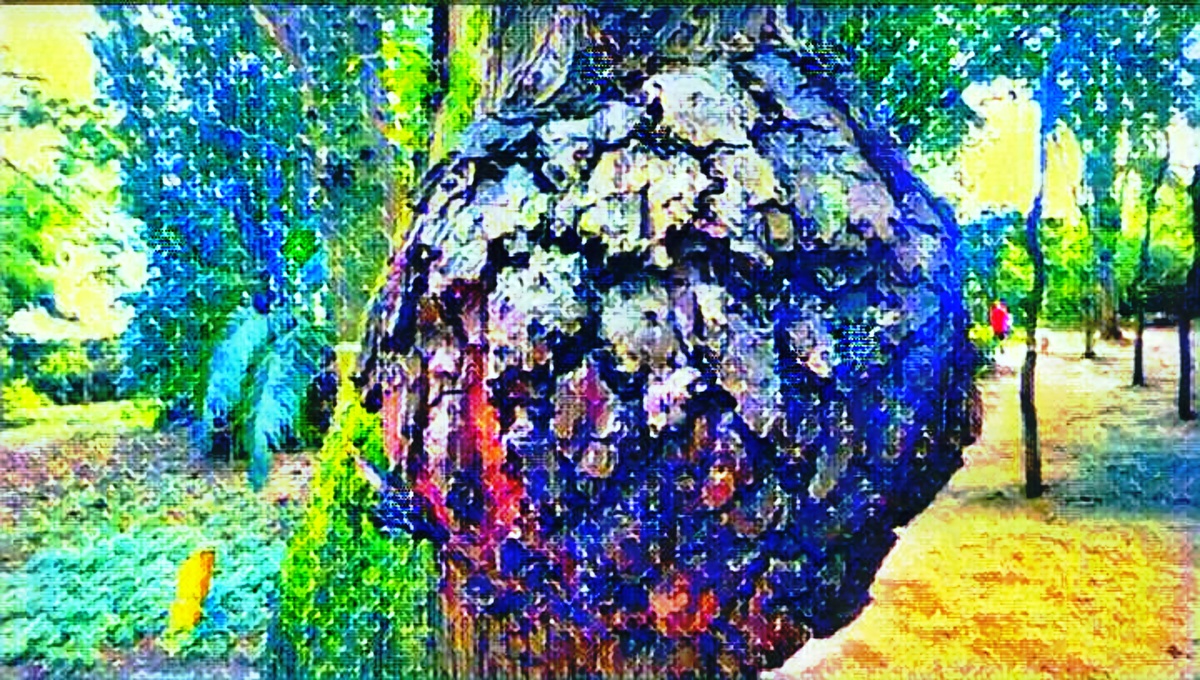 ART INSPIRING THE TREES AND PARKS