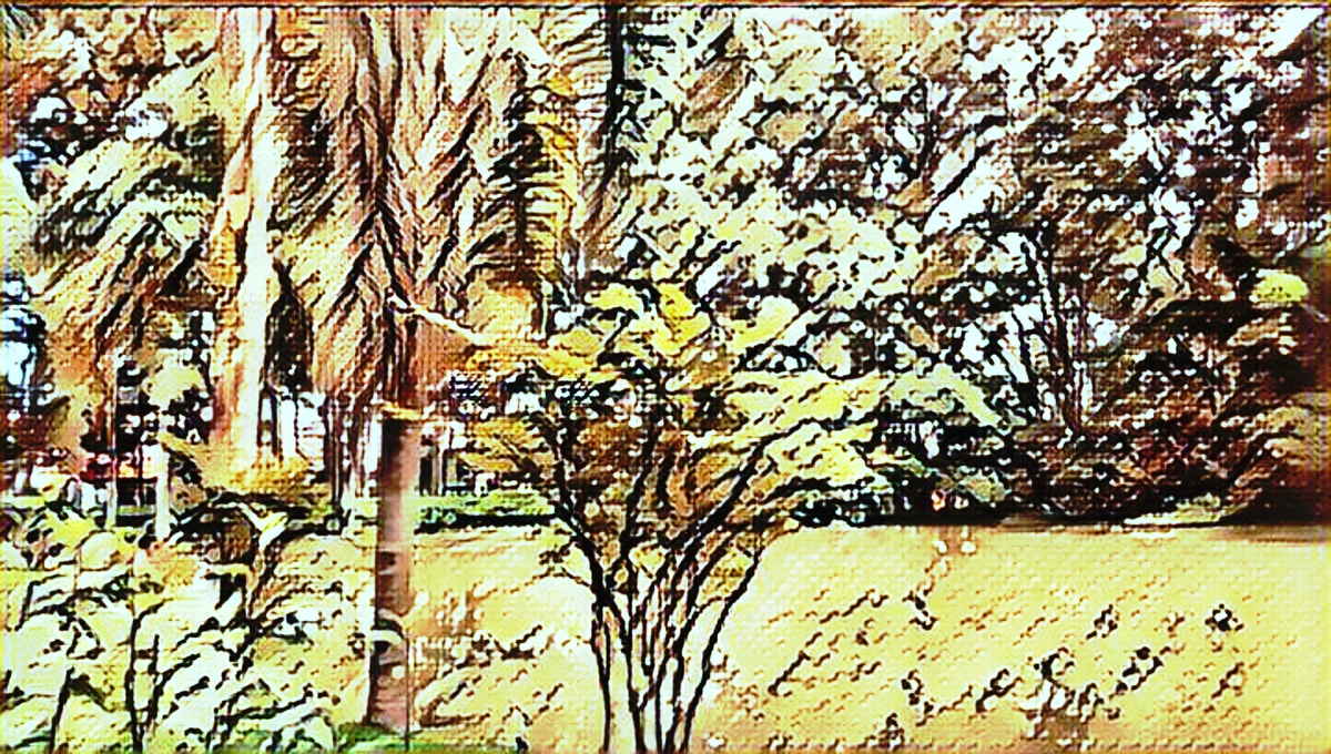 ART INSPIRING THE TREES AND PARKS