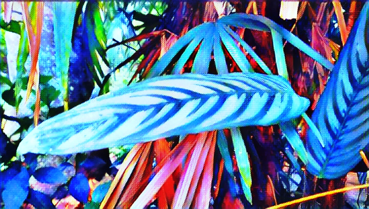 ART INSPIRING THE TREES AND PARKS