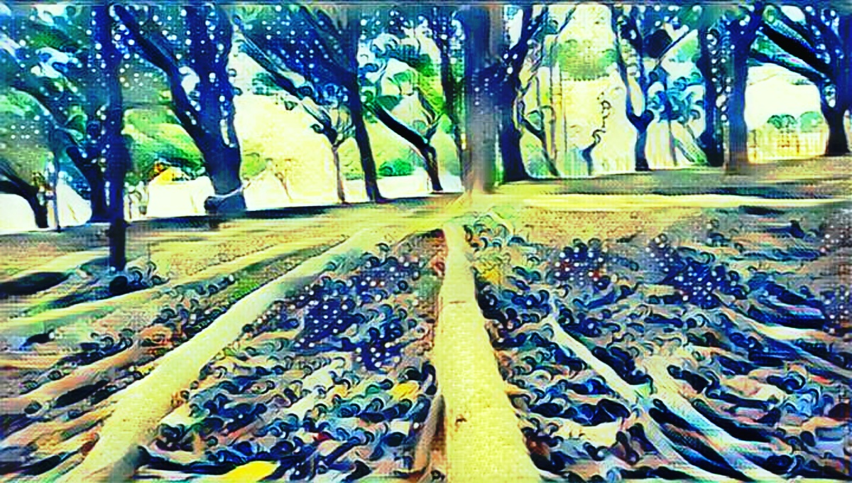 ART INSPIRING THE TREES AND PARKS