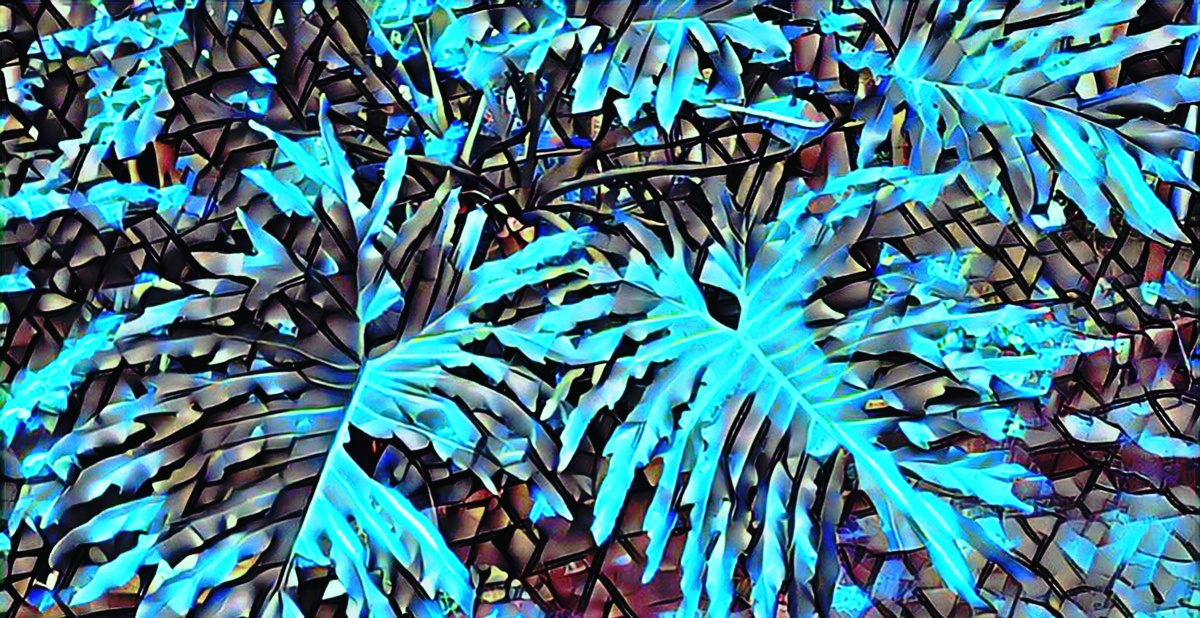 ART INSPIRING THE TREES AND PARKS