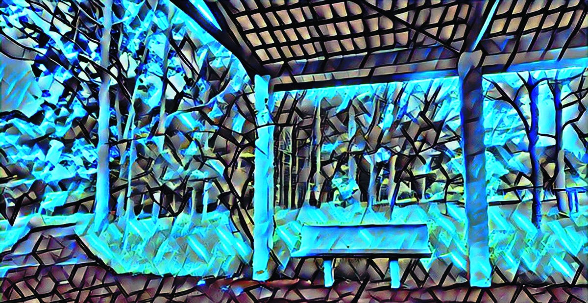 ART INSPIRING THE TREES AND PARKS