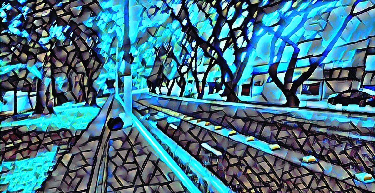 ART INSPIRING THE TREES AND PARKS