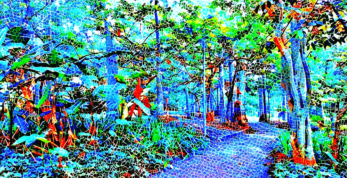 ART INSPIRING THE TREES AND PARKS