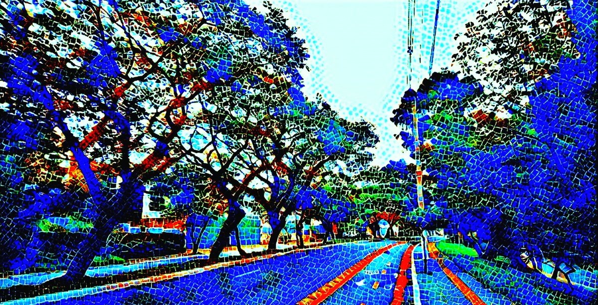 ART INSPIRING THE TREES AND PARKS