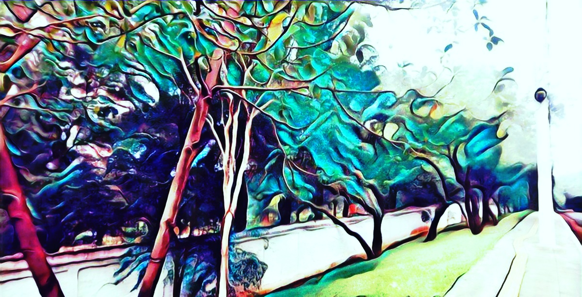 ART INSPIRING THE TREES AND PARKS