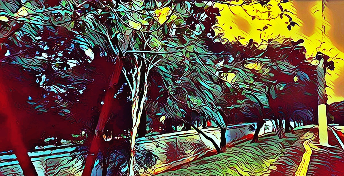 ART INSPIRING THE TREES AND PARKS