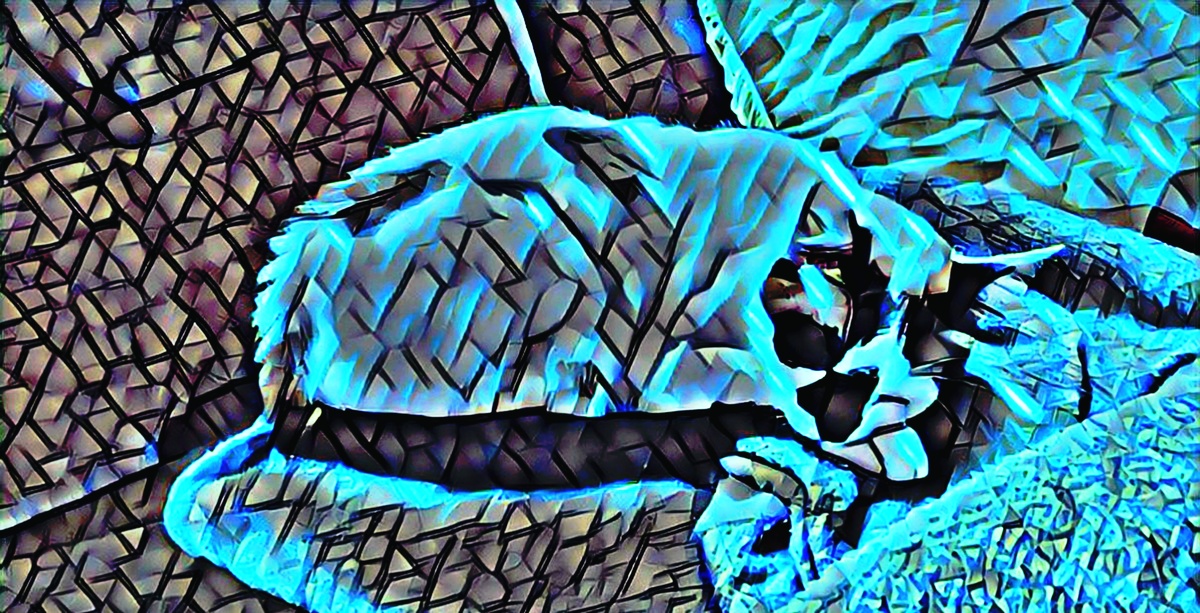 ART INSPIRING THE TREES AND PARKS