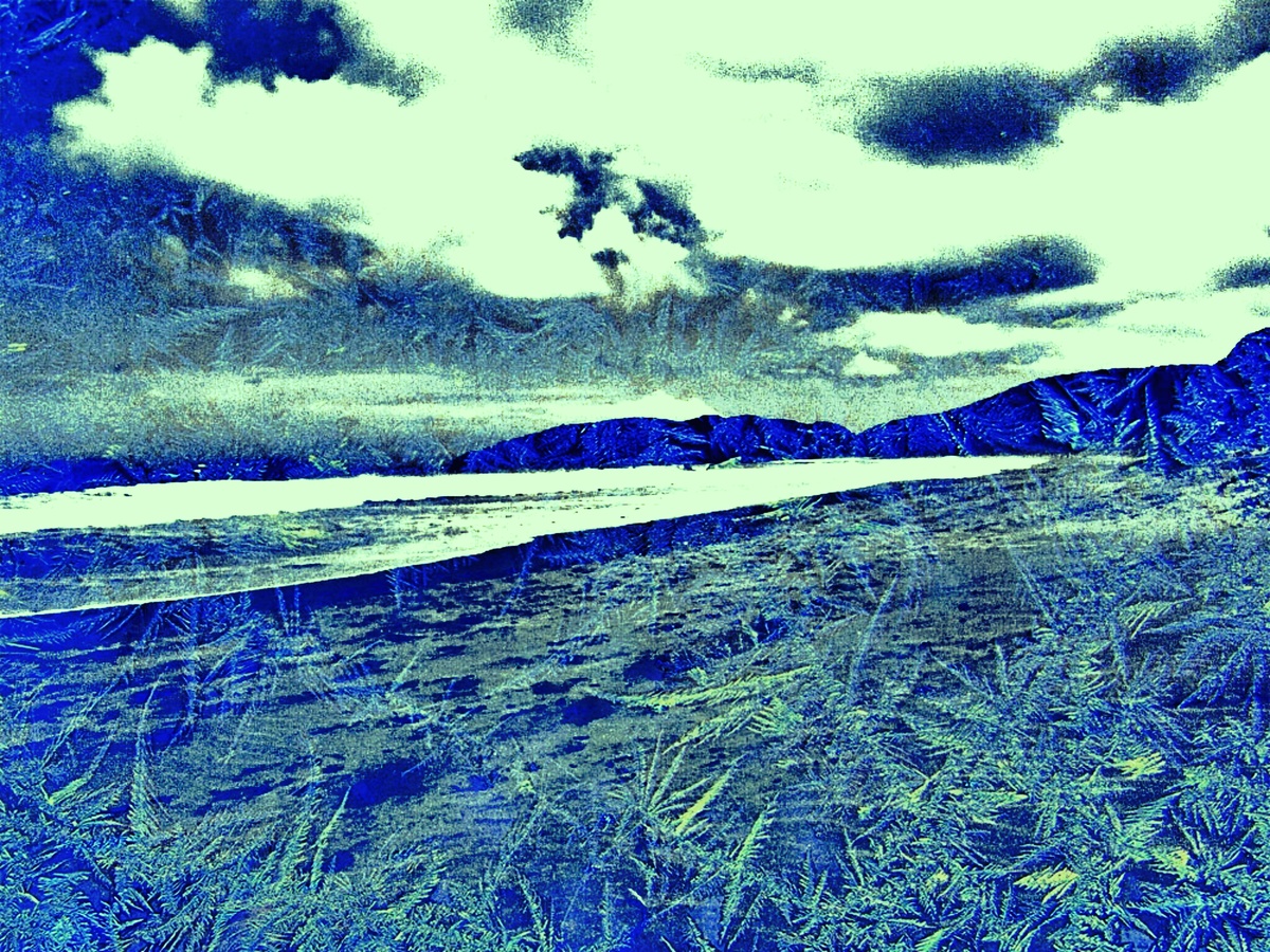 ART INSPIRING THE TREES AND PARKS