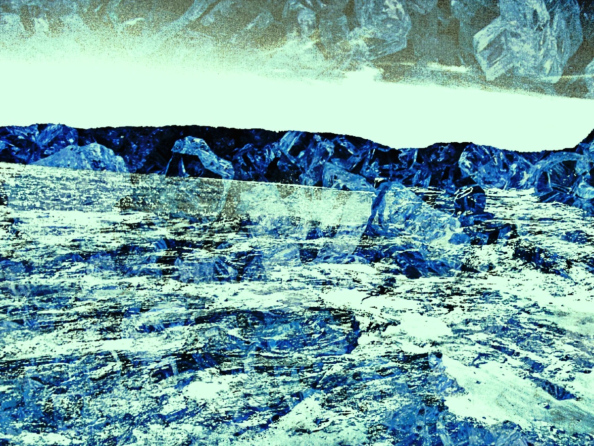 ART INSPIRING THE TREES AND PARKS