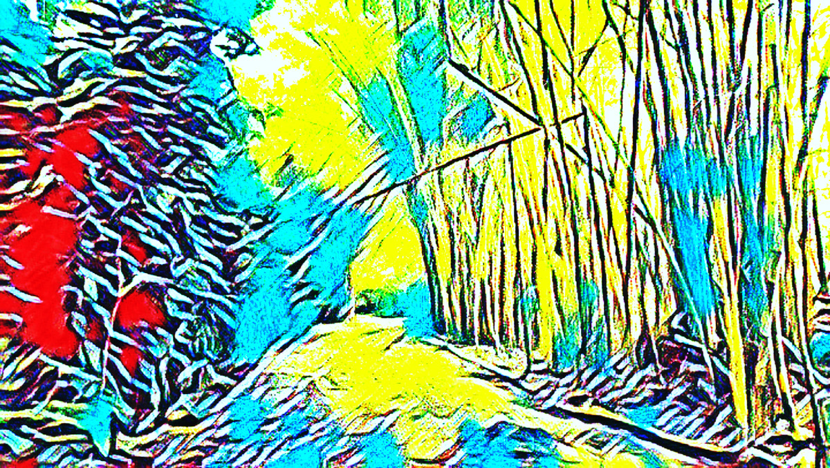 ART INSPIRING THE TREES AND PARKS