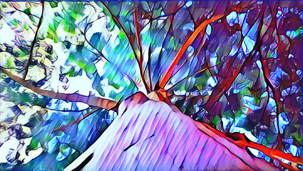 ART INSPIRING THE TREES AND PARKS