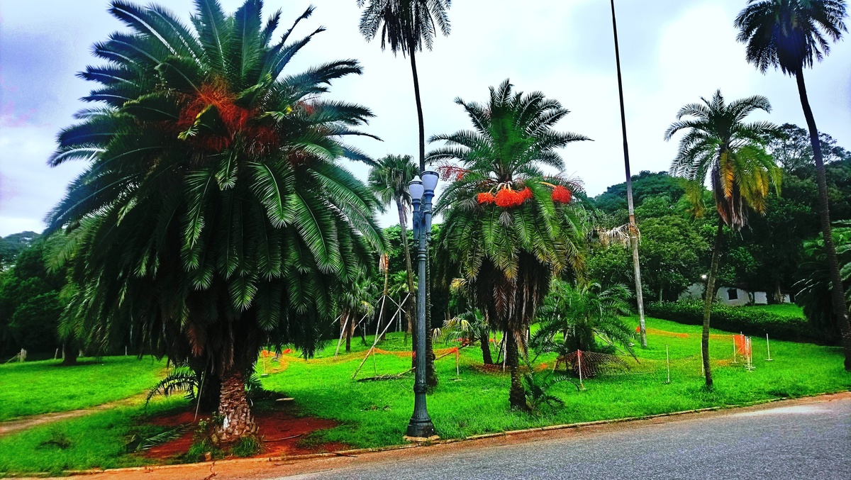 Parque da Independência
