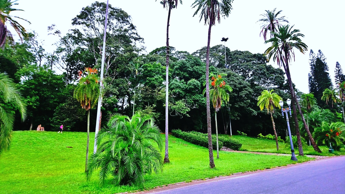 Parque da Independência