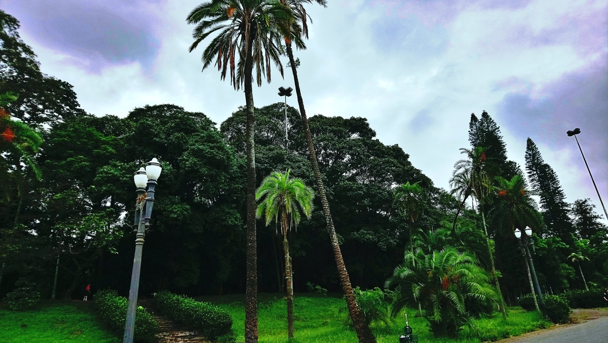 Parque da Independência
