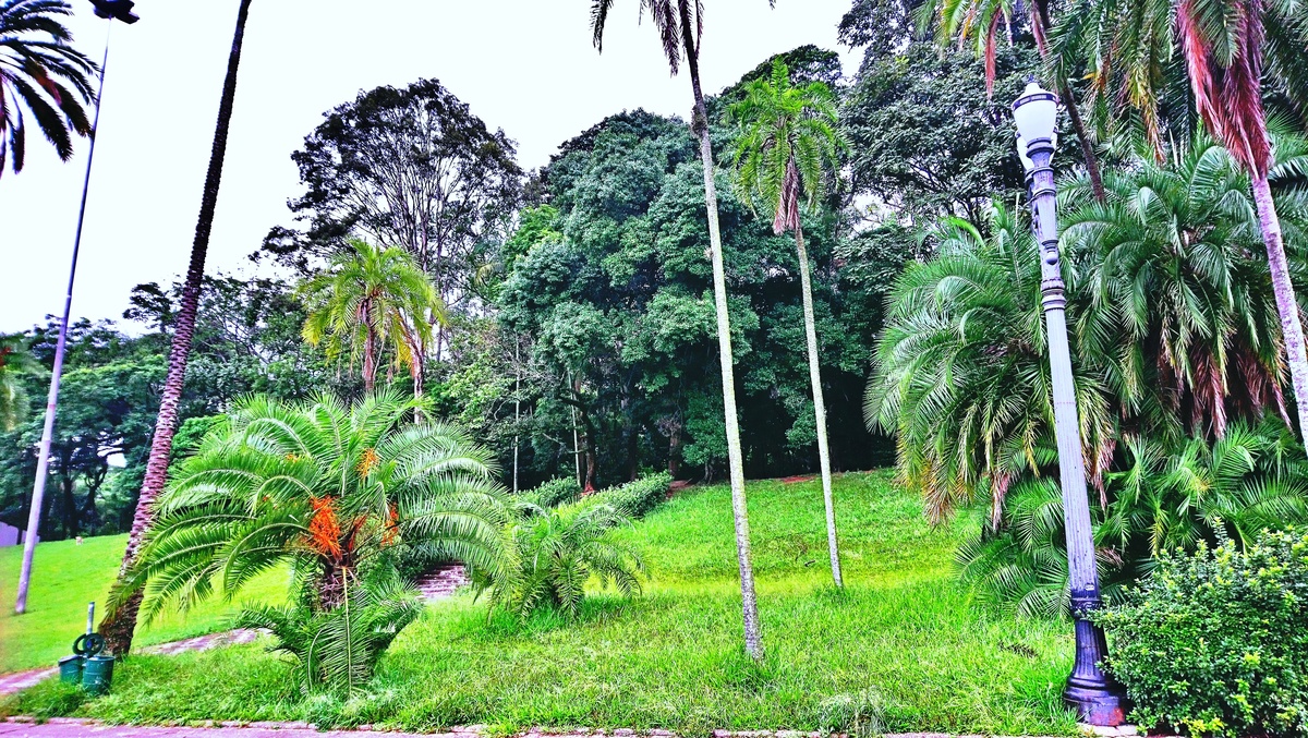 Parque da Independência