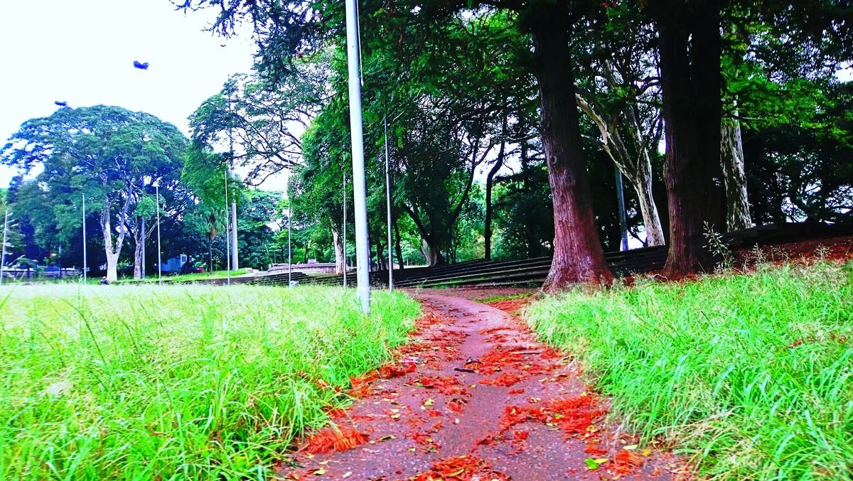 Parque da Independência