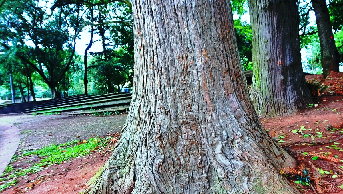Parque da Independência