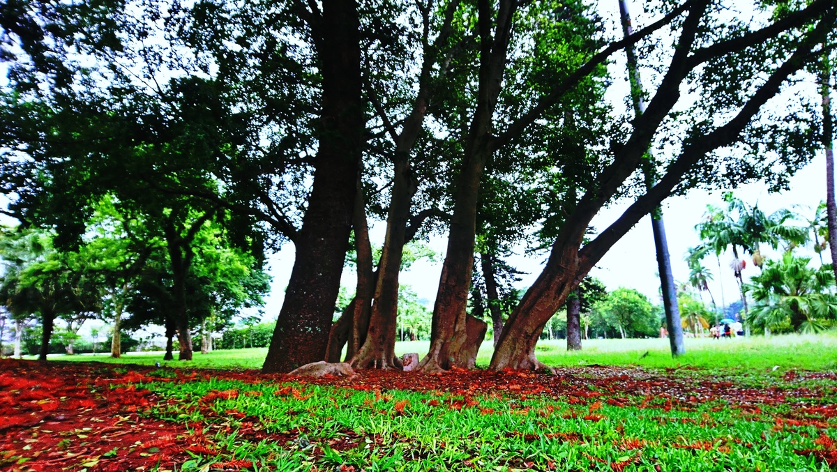 Parque da Independência