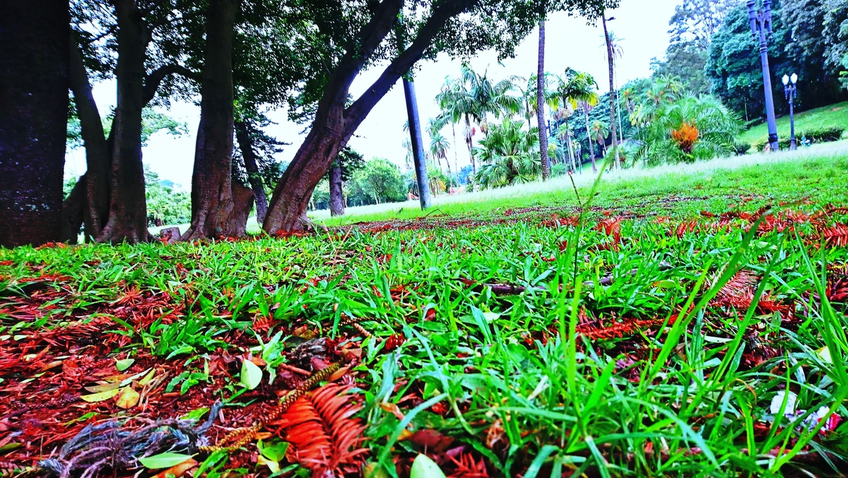 Parque da Independência