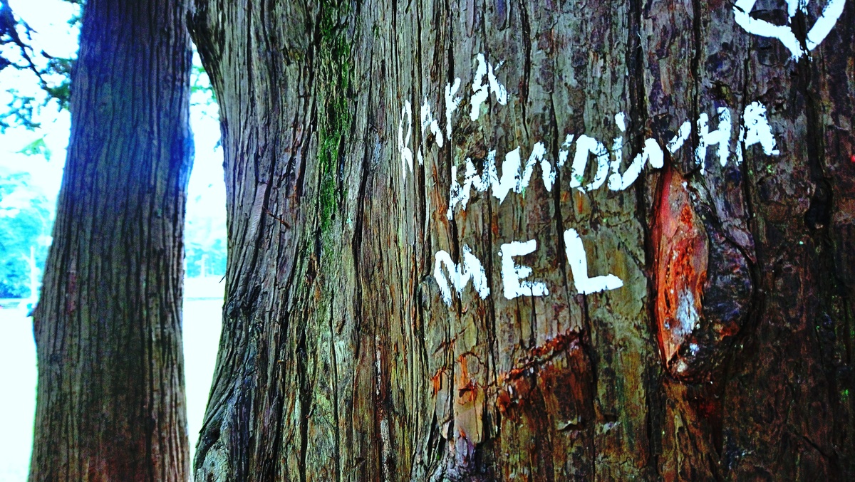 Parque da Independência